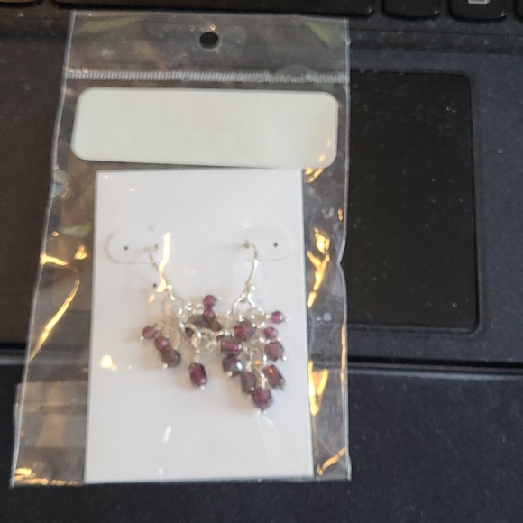 GARNET EARNINGS - Picture 2 of 3